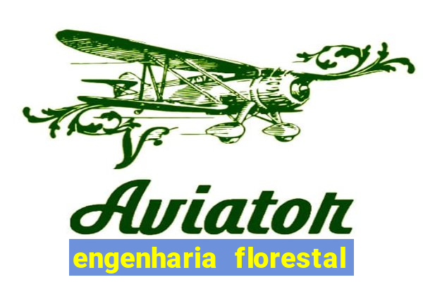 engenharia florestal ead cruzeiro do sul